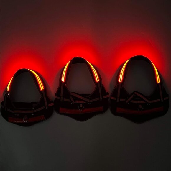 BOGO RED Rechargeable LED Dog Collar or Harness Get your pet seen when walking - Picture 2 of 3